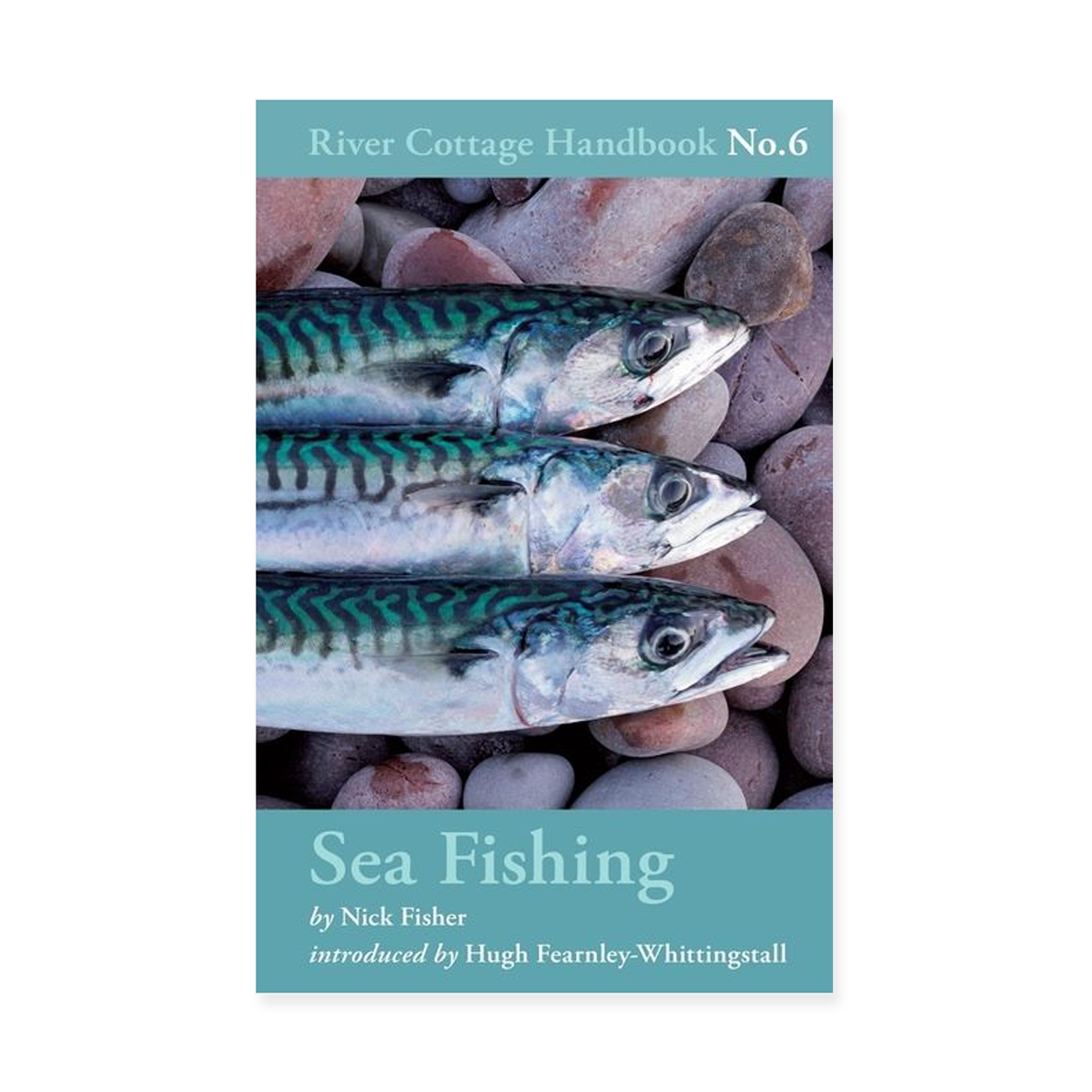 Sea Fishing Book