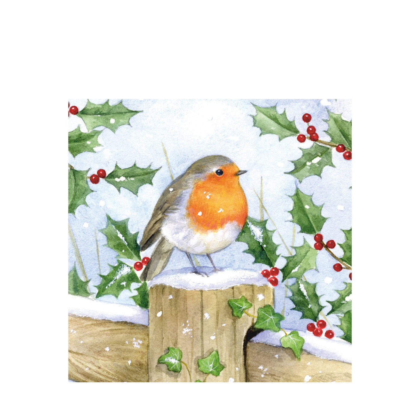 Winter Robin Christmas Cards, Pack of 2023